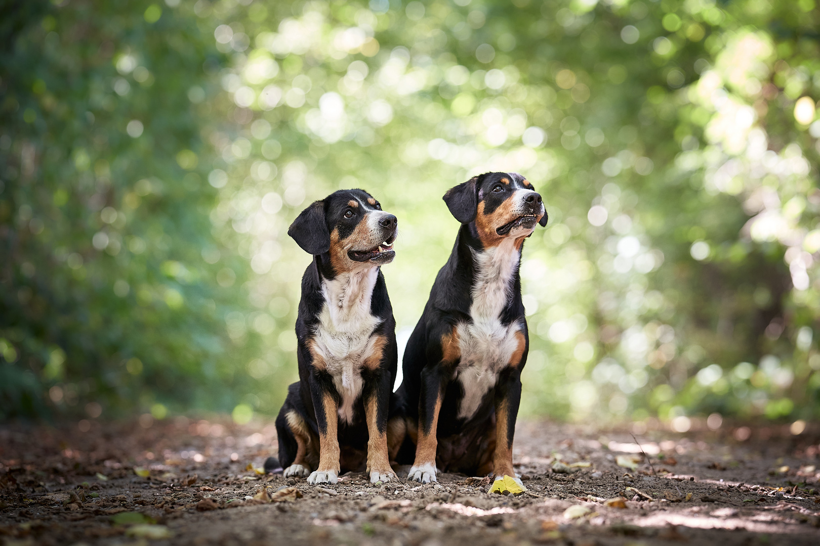 Mutter und Tochter