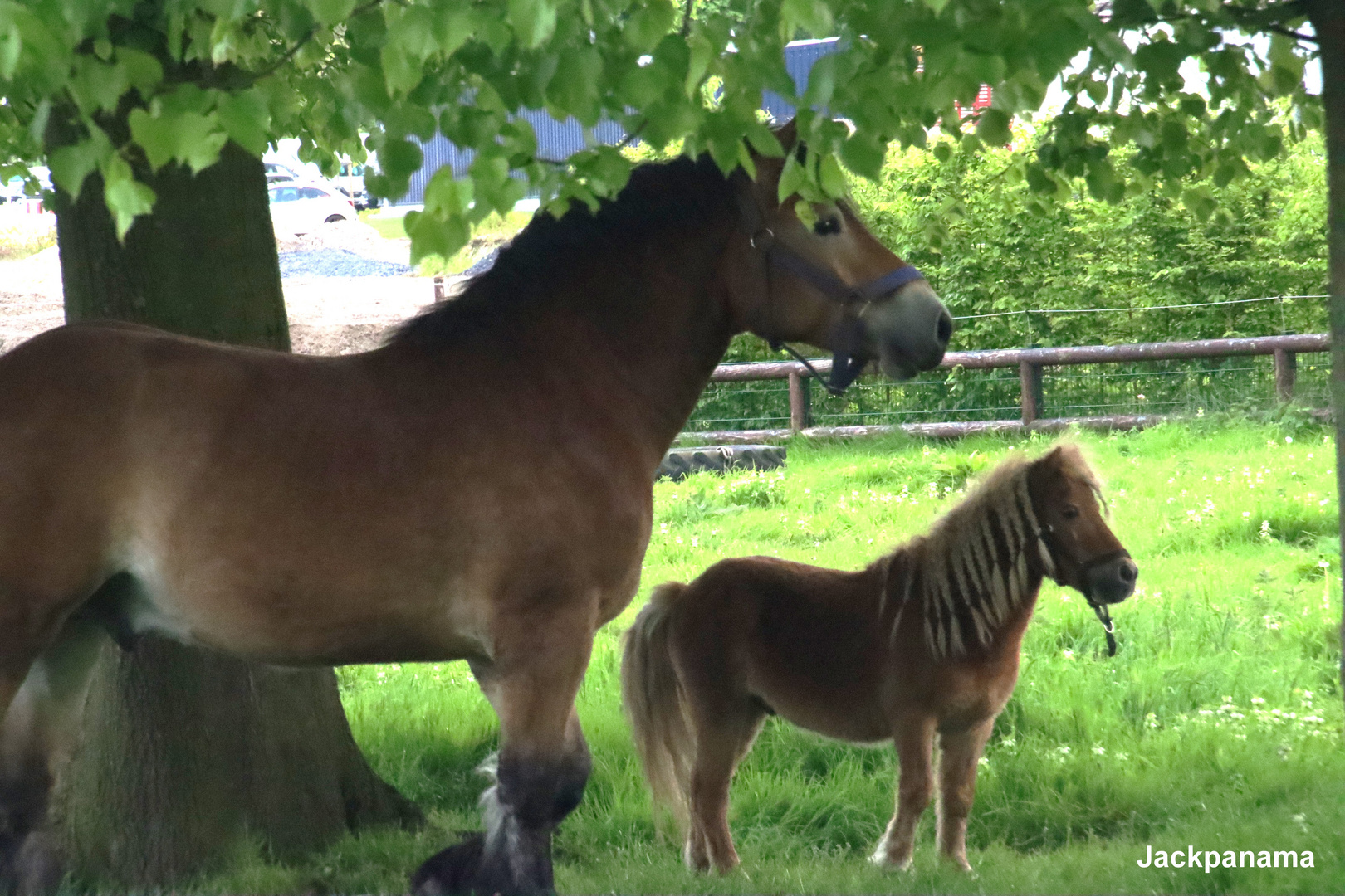 Mutter und Tochter