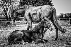 Mutter und Tochter