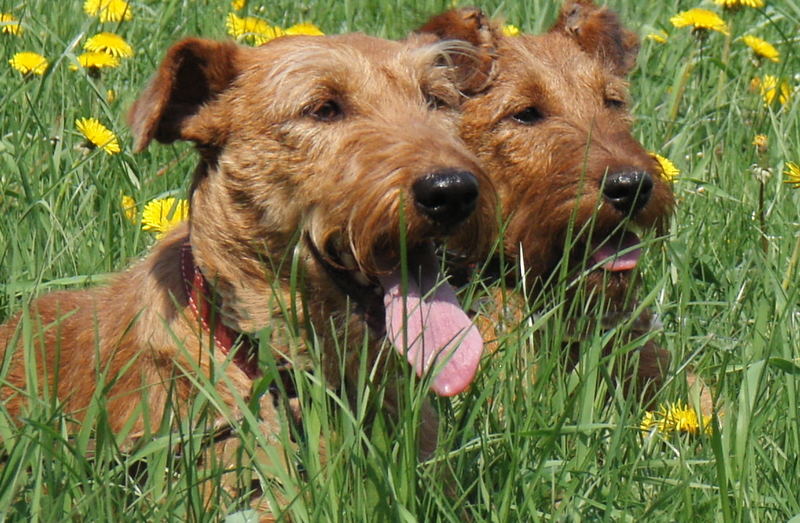 Mutter und Tochter