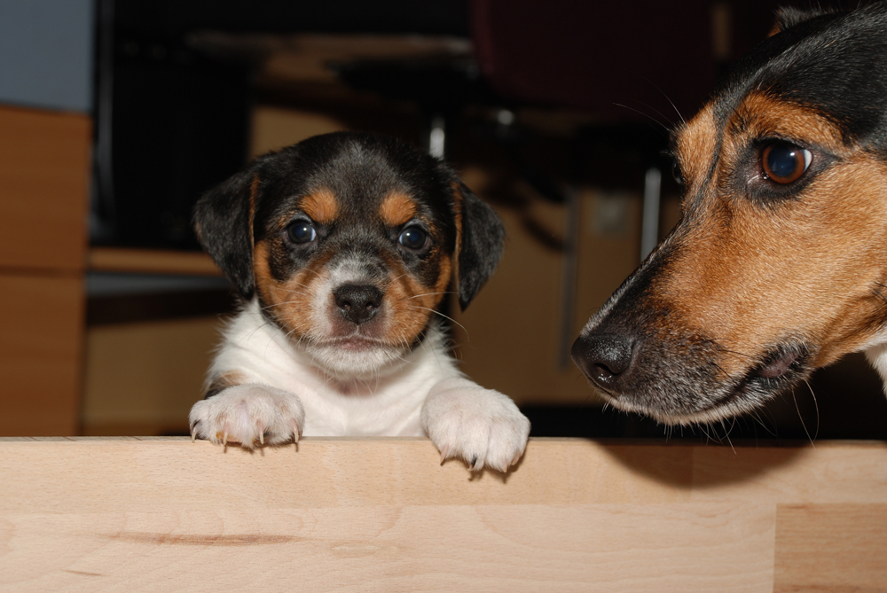 Mutter und Tochter