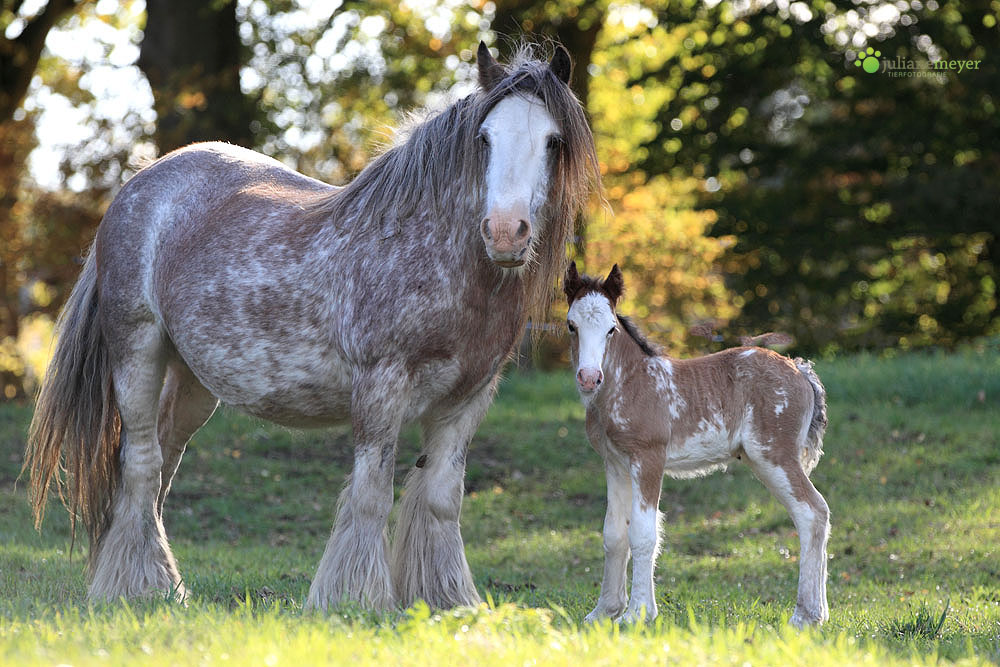 Mutter und Tochter