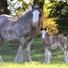 Mutter und Tochter