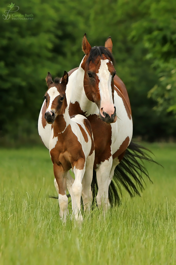 Mutter und Tochter