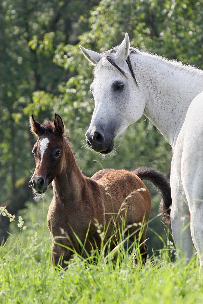 Mutter und Tochter