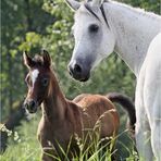 Mutter und Tochter