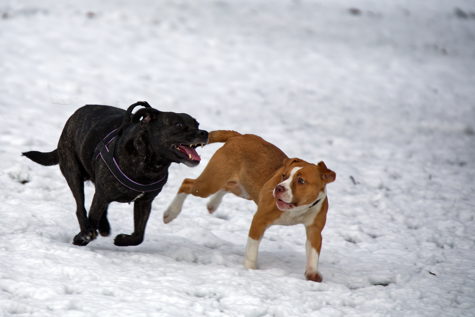 Mutter und Tochter Im Schnee