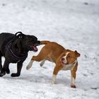 Mutter und Tochter Im Schnee