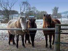 Mutter und Tochter mit Tante .