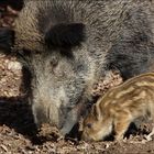 Mutter und Tochter (oder Sohn)