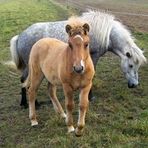 Mutter und Tochter vereint .Die kleine ist schon sehr neugierig auf den Fotoapparat.