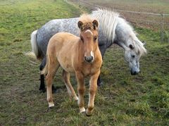 Mutter und Tochter vereint .Die kleine ist schon sehr neugierig auf den Fotoapparat.