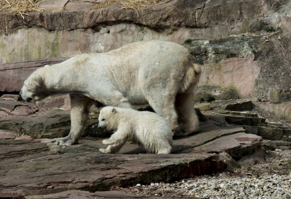 Mutter Vera mit Baby Charlotte -2-