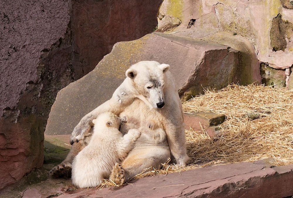 Mutter Vera mit Baby Charlotte