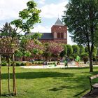 Muttergotteskirche im Frühling