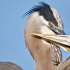 Mutterliebe oder scharfer Anpfiff?