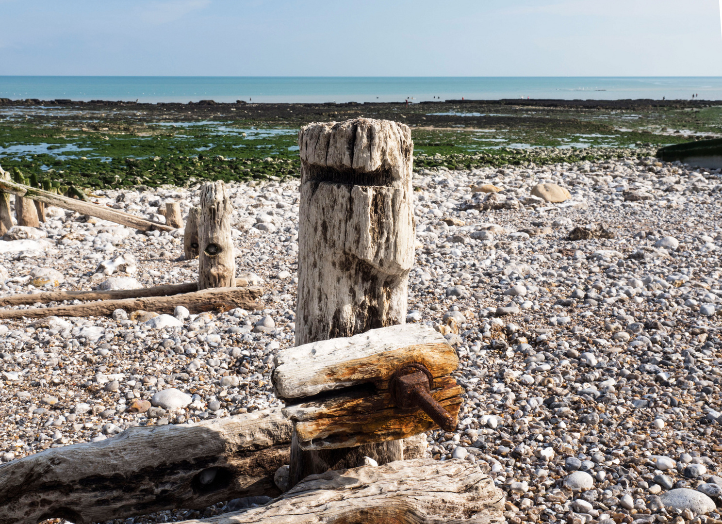 Muttern allein am Strand