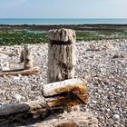 Muttern allein am Strand