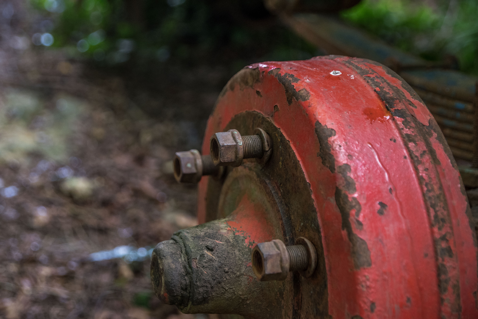 Muttern quasi allein im Wald