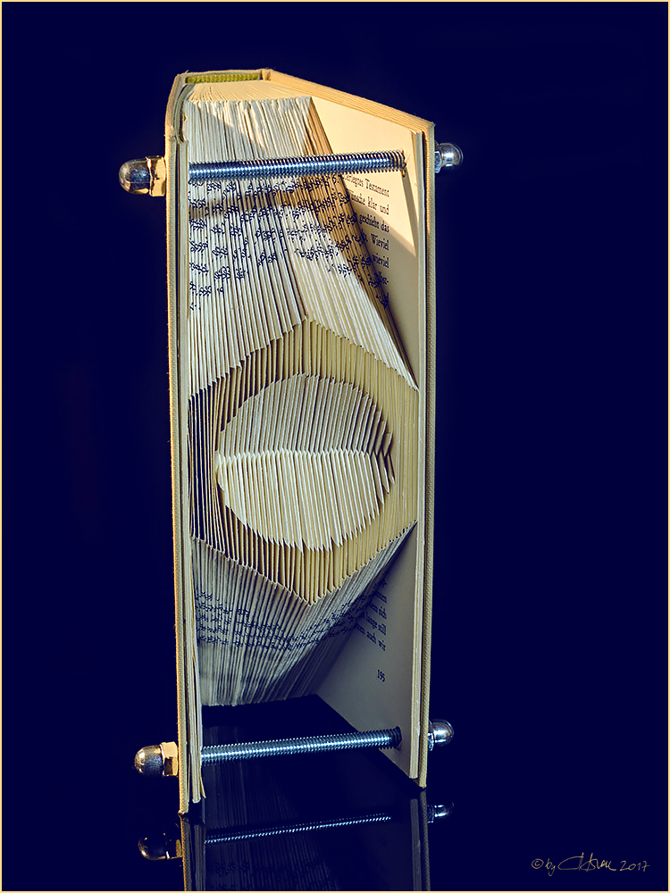 Geheimes Tagebuch Geheimes Tagebuch