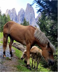 Mutterschutz, Urlaub in den Dolomiten