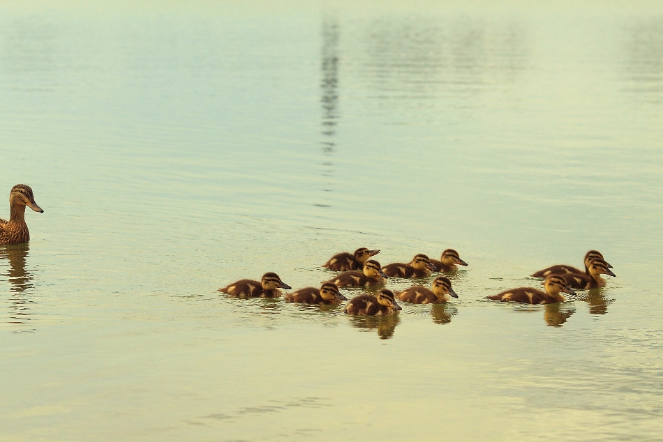 Muttertag am See