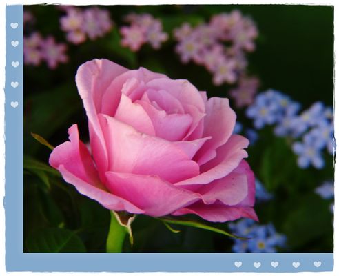 Muttertag: "Für meine Superheldin"