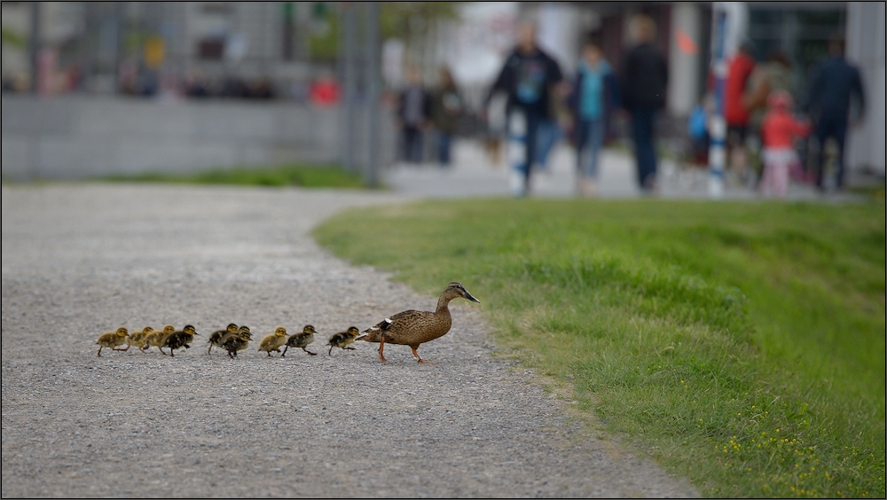 Muttertags - Ausflug ...