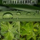 Muttertags-Wetter 2014