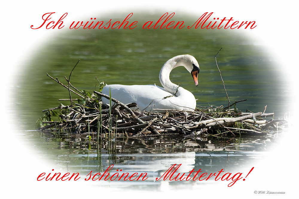 Muttertagswünsche Foto & Bild | gratulation und feiertage, muttertag