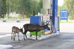 Mutti, das ist eine Tankstelle !