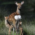 Mutti und Bambi