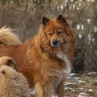 Mutti und Sohn im Zwiegespräch