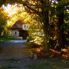 Muttodaya - Buddhistisches Waldkloster Herrnschrot