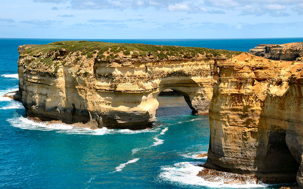 Muttonbird Island