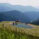 muuh....... Kühe (mittig) mit tollem Ausblick!