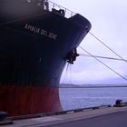 M/V AMALIA DEL BENE,VICTORIA,SOUTH AUSTRALIA.