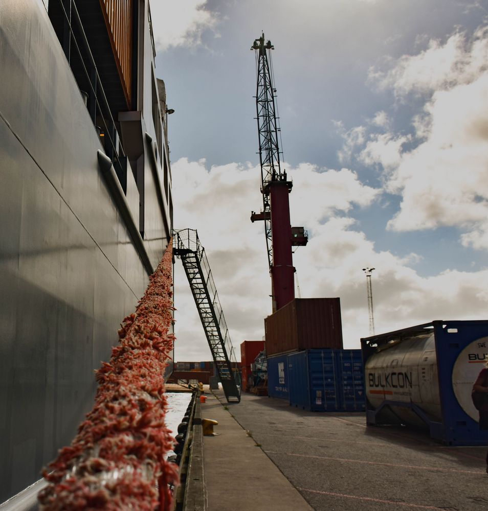 MV " Charlotta B " , Port Halmstad