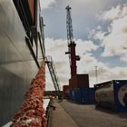 MV " Charlotta B " , Port Halmstad