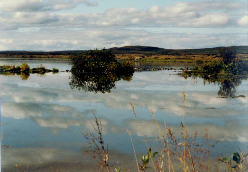 Mývatn von Peter K. R. Klein