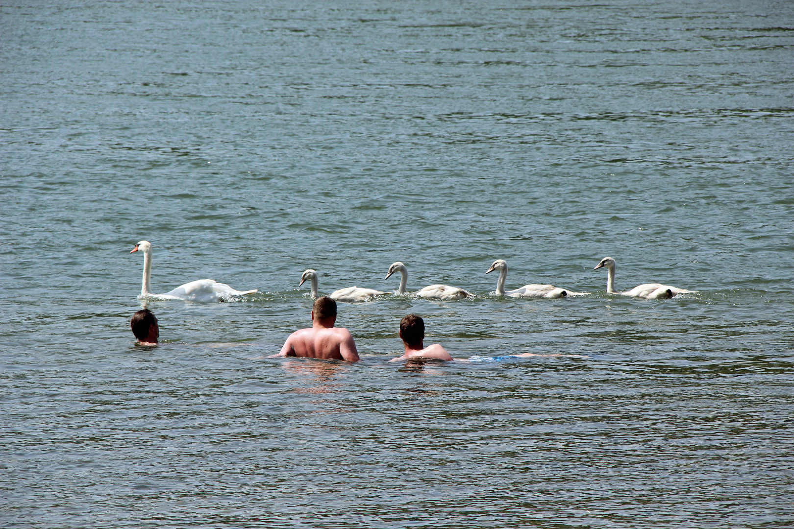 MW Baden im Rhein