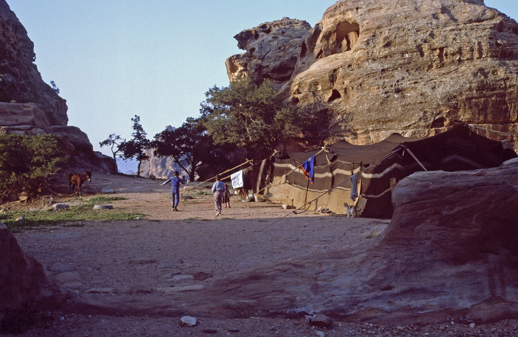 MW Petra 1983 unter Beduinen