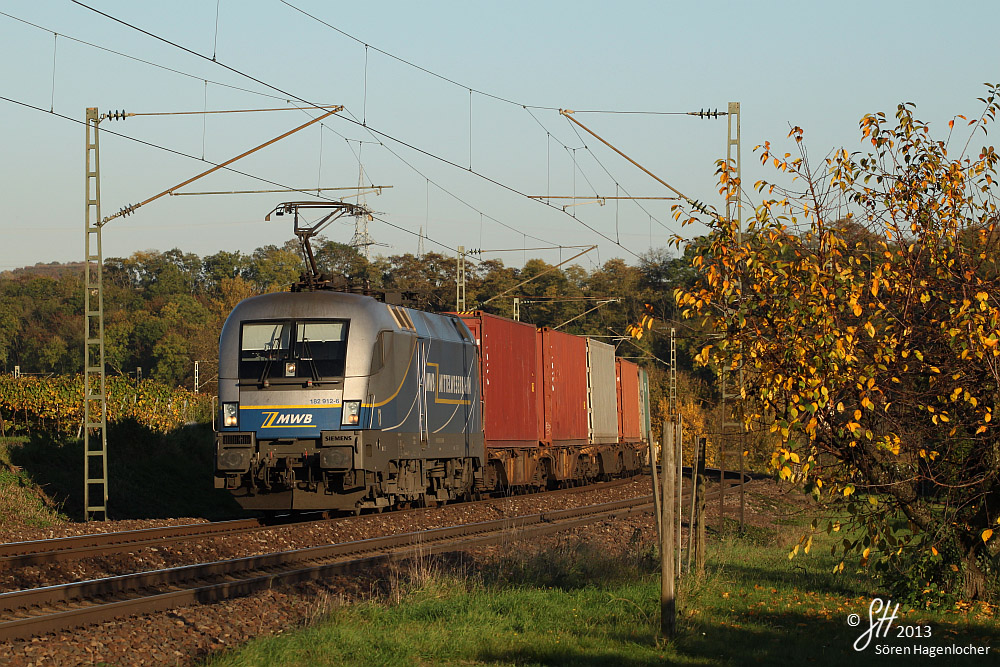 MWB-Taurus im Herbst 2013