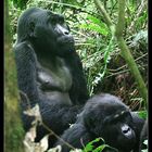 Mwirima mit Frau, Bwindi NP, Uganda