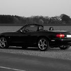 Mx-5 schwarz/weiß oder???