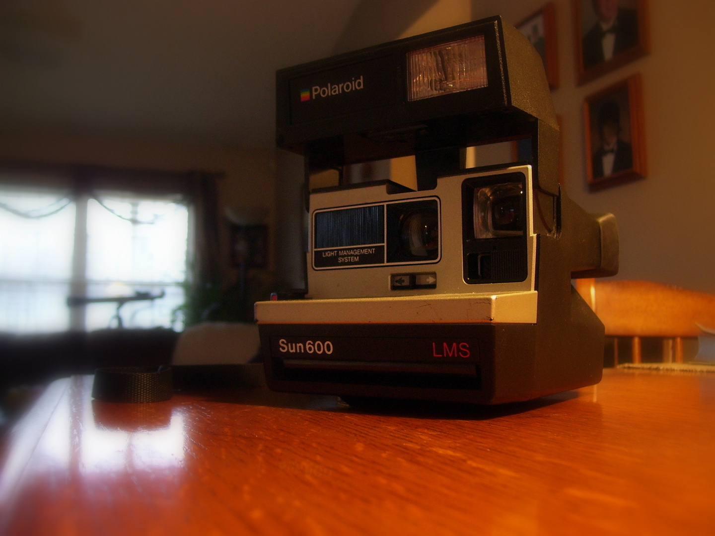 My 1983 Polaroid