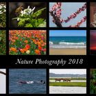My Annual Review 2018 | nature photography |