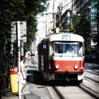 My baby takes the morning train