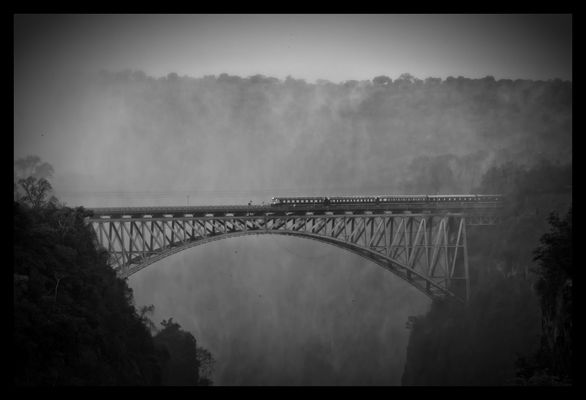 My baby takes the morning train