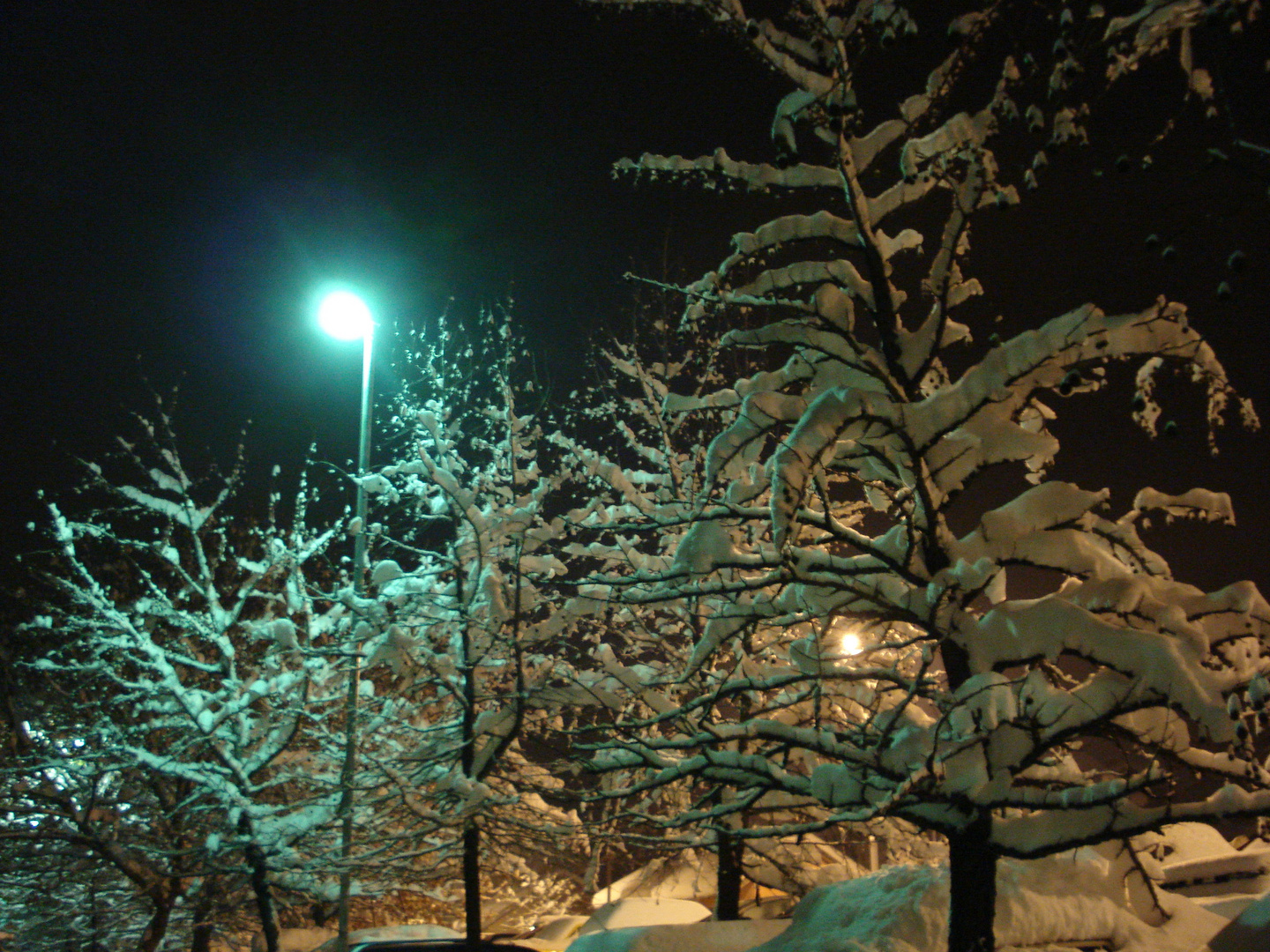 My Banja at night with snow